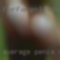 Average penis swingers clubs