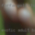 Exotic adult Bangor swinger