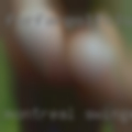 Montreal swingers muscular